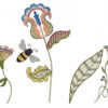 Bernina Embroidery Software 9 DesignerPlus - Image 7